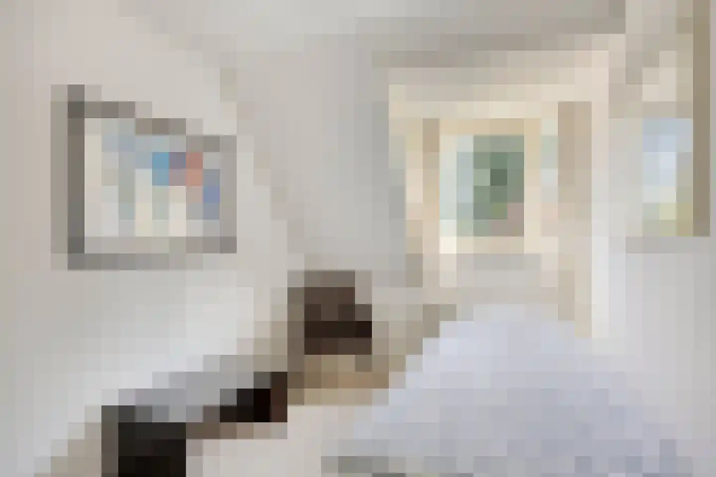Arodaveld 12 Cuijk thumbnail 40