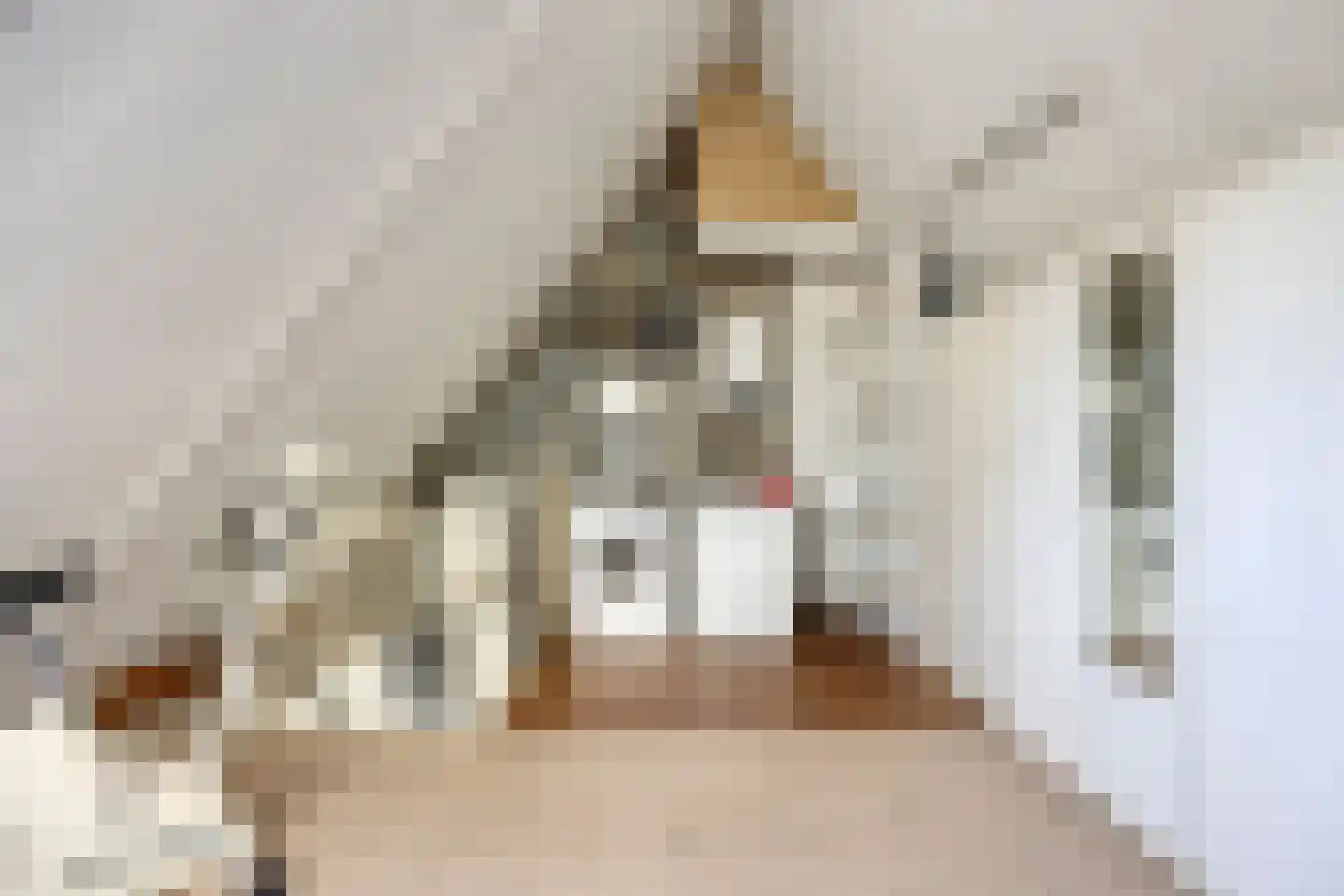 Arodaveld 12 Cuijk thumbnail 41