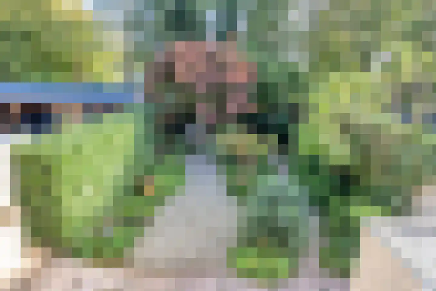 Arodaveld 12 Cuijk thumbnail 47