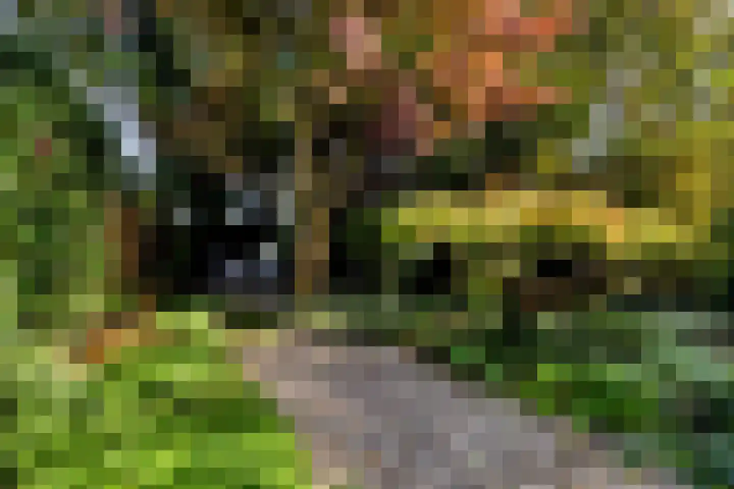 Arodaveld 12 Cuijk thumbnail 48