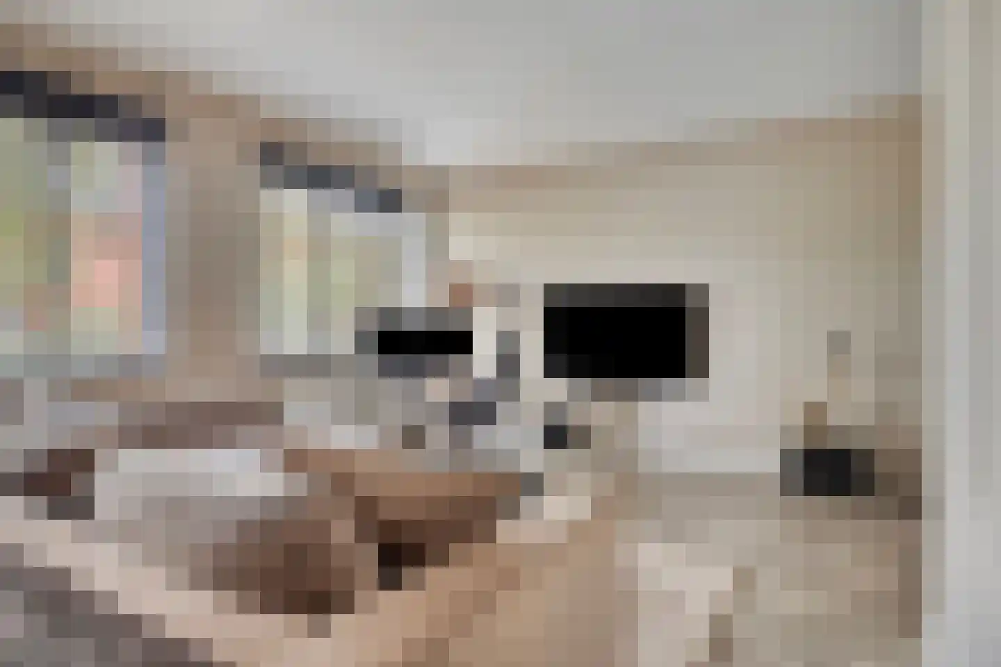 Aroldo 26 Eindhoven thumbnail 14