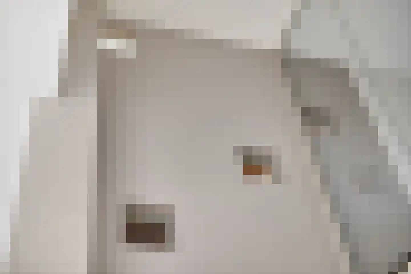Aroldo 26 Eindhoven thumbnail 30