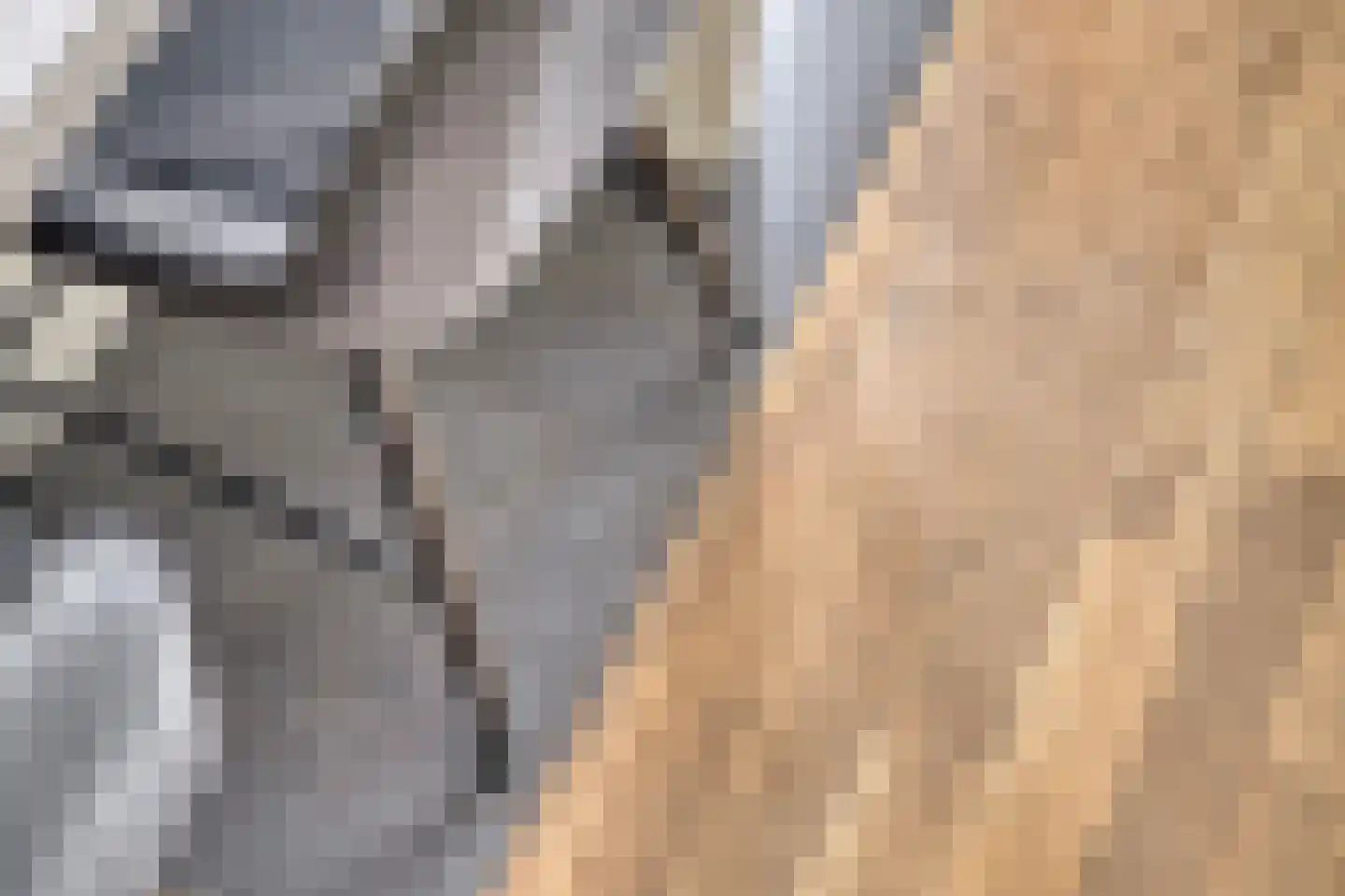 Aroldo 26 Eindhoven thumbnail 37