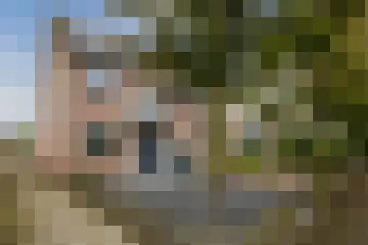 Aronskelk 1 Cuijk