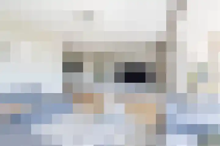 Aronskelk 1 Luttelgeest thumbnail 12