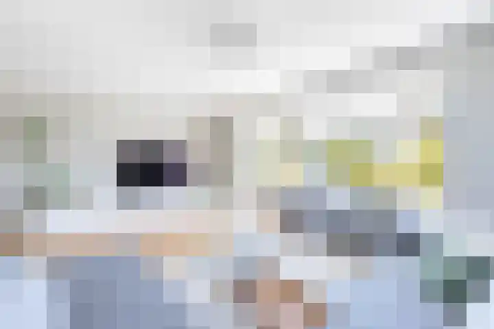 Aronskelk 1 Luttelgeest thumbnail 13
