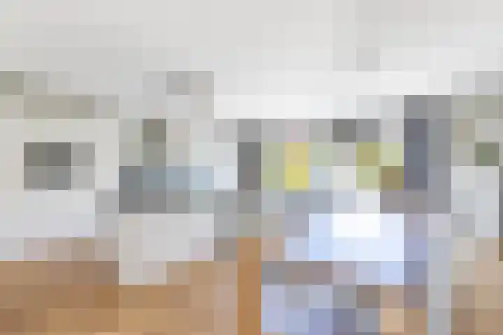 Aronskelk 1 Luttelgeest thumbnail 16