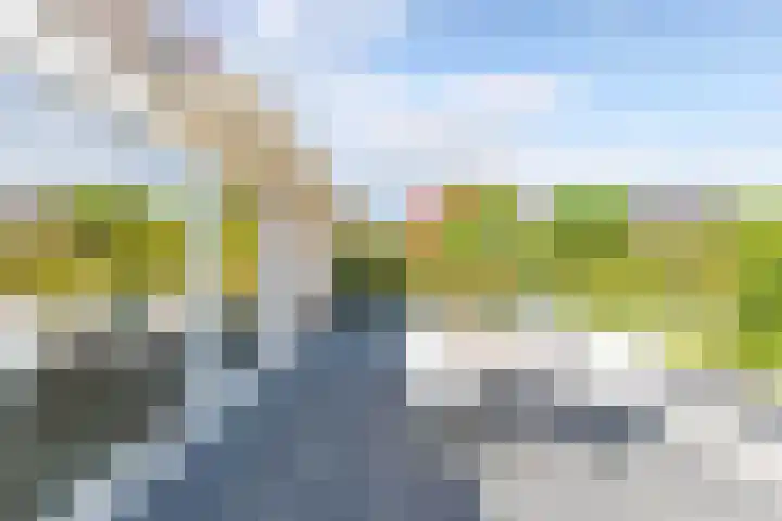 Aronskelk 1 Luttelgeest thumbnail 23