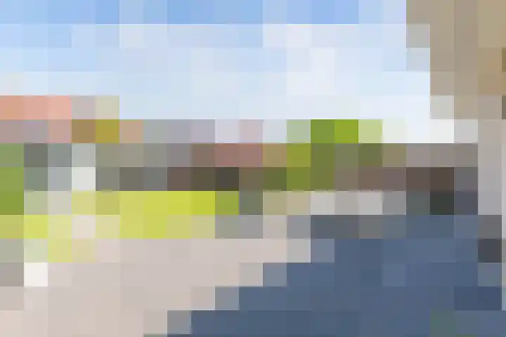 Aronskelk 1 Luttelgeest thumbnail 24