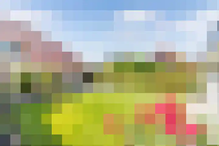 Aronskelk 1 Luttelgeest thumbnail 27
