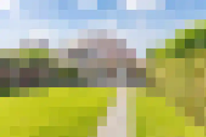 Aronskelk 1 Luttelgeest thumbnail 28