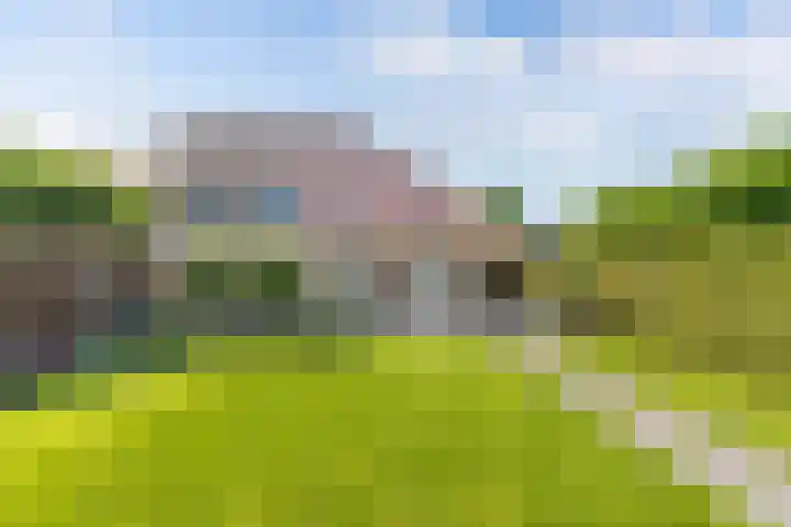 Aronskelk 1 Luttelgeest thumbnail 29