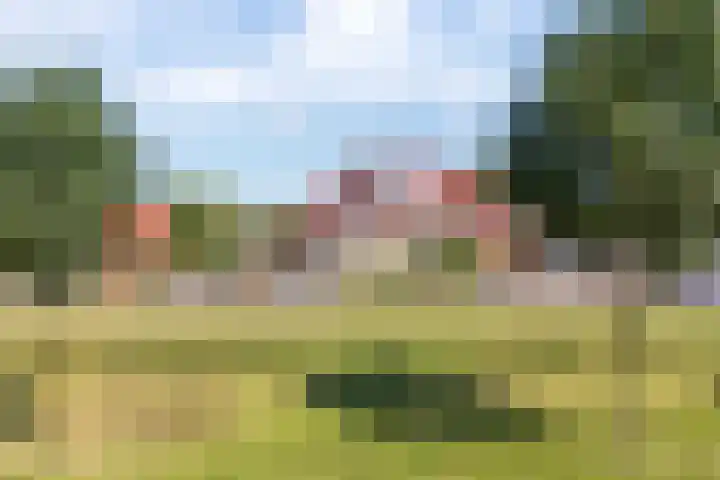 Aronskelk 1 Luttelgeest thumbnail 44