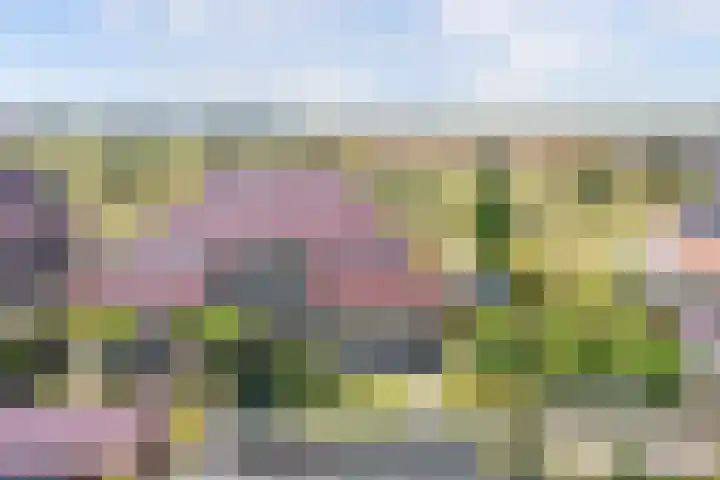 Aronskelk 1 Luttelgeest thumbnail 45