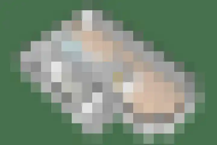 Aronskelk 1 Luttelgeest thumbnail 47