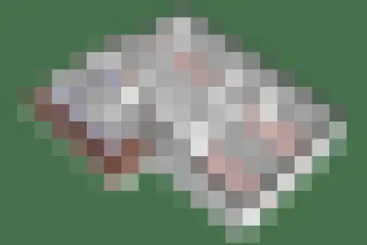 Aronskelk 1 Luttelgeest thumbnail 49