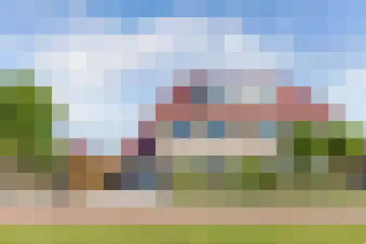 Aronskelk 1 Luttelgeest thumbnail 5