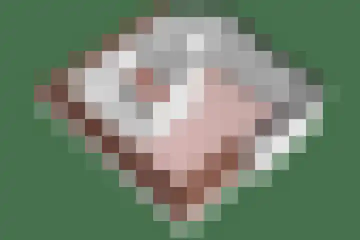 Aronskelk 1 Luttelgeest thumbnail 51