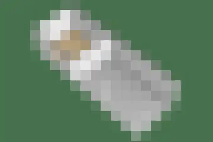 Aronskelk 1 Luttelgeest thumbnail 53