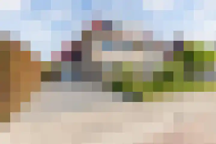 Aronskelk 1 Luttelgeest thumbnail 54
