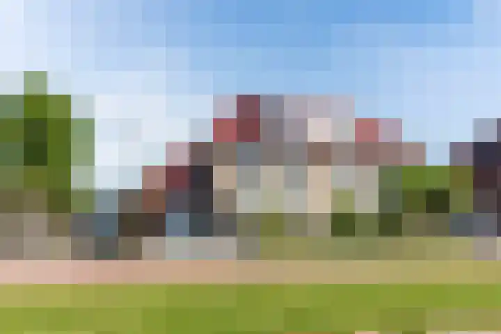 Aronskelk 1 Luttelgeest thumbnail 6