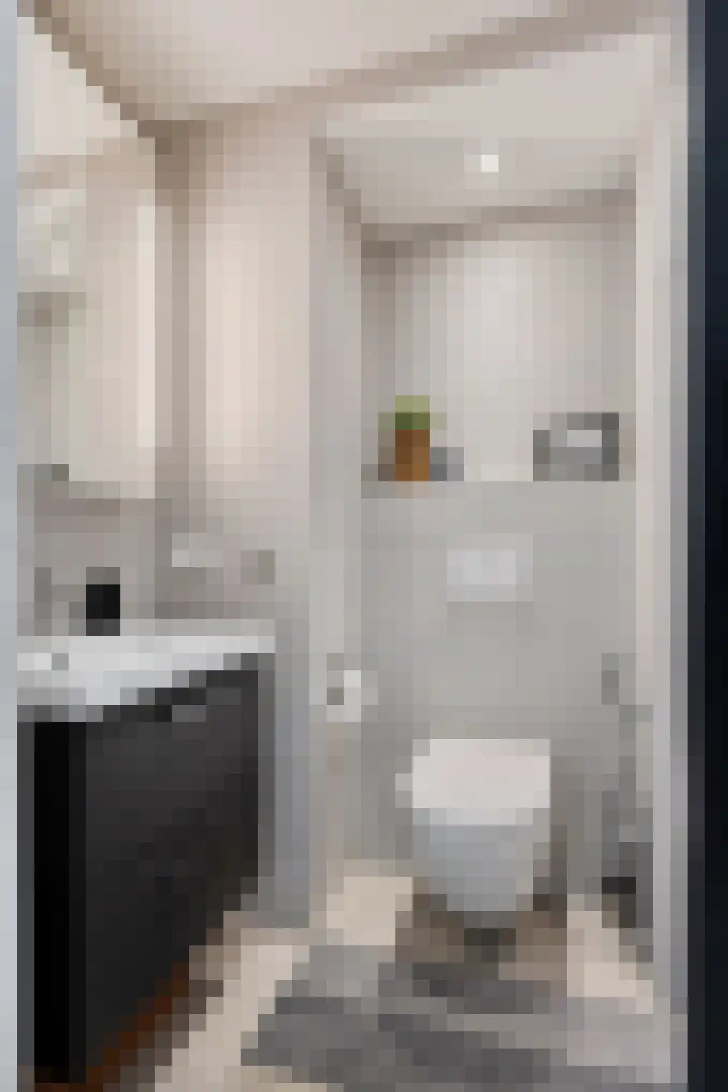 Aronskelk 18 Cuijk thumbnail 18