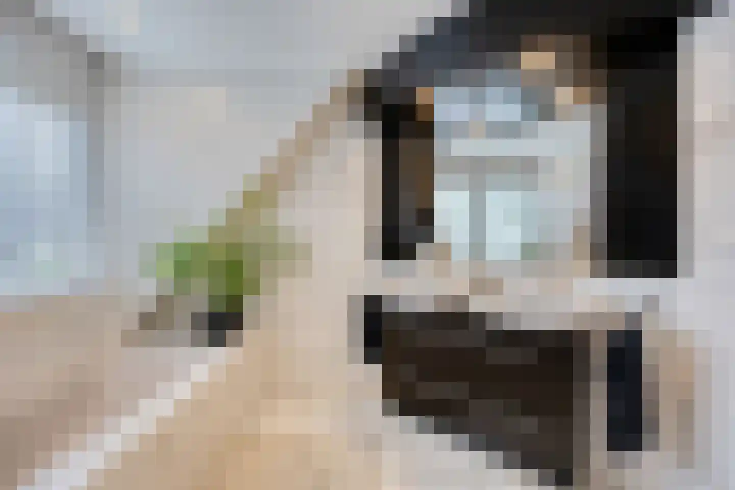 Aronskelk 18 Cuijk thumbnail 28