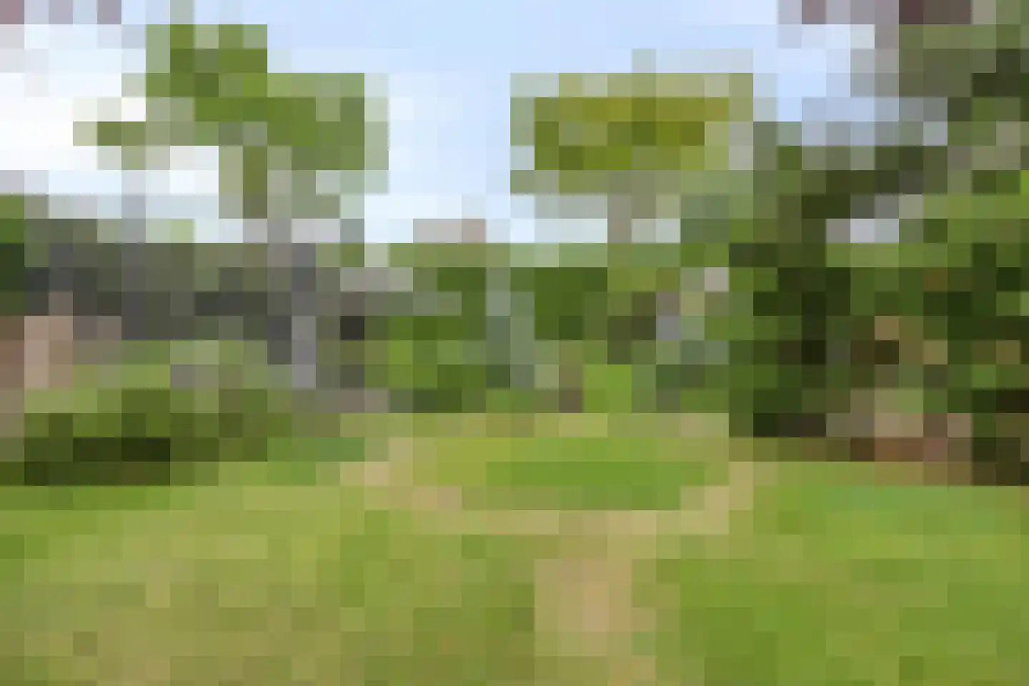 Aronskelk 18 Cuijk thumbnail 35