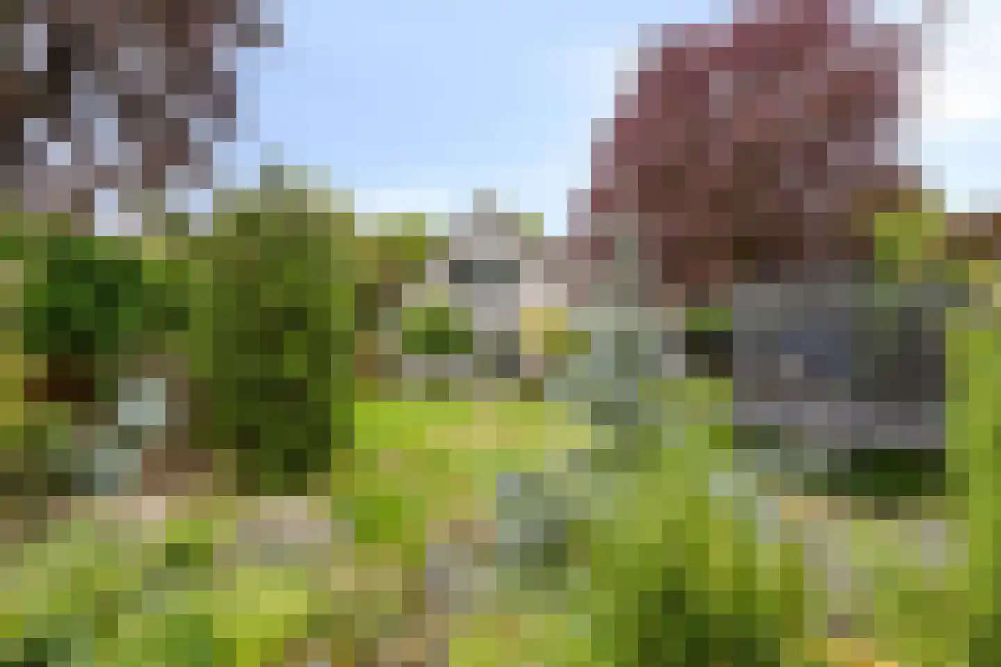 Aronskelk 18 Cuijk thumbnail 36