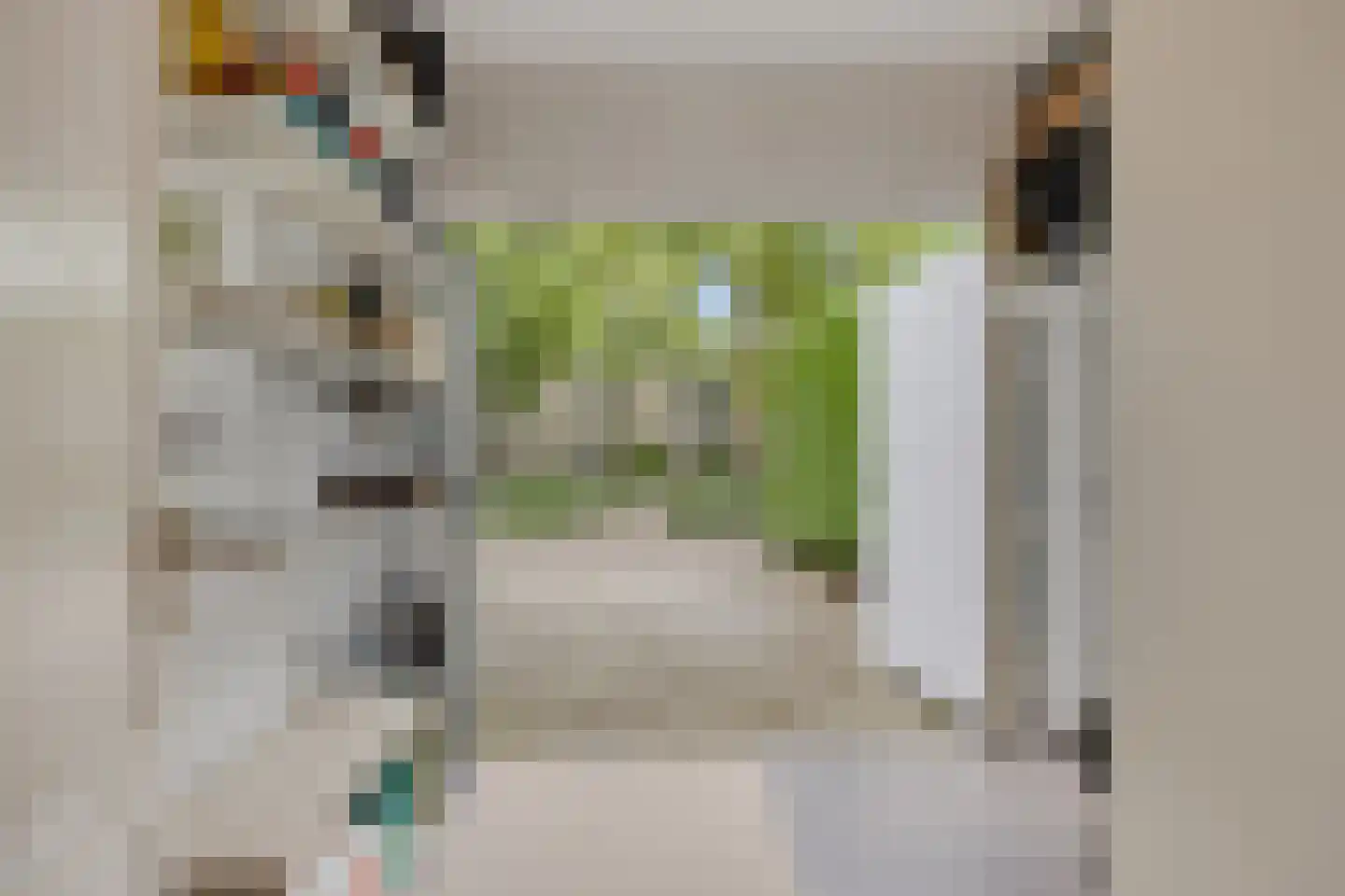 Aronskelk 18 Cuijk thumbnail 38
