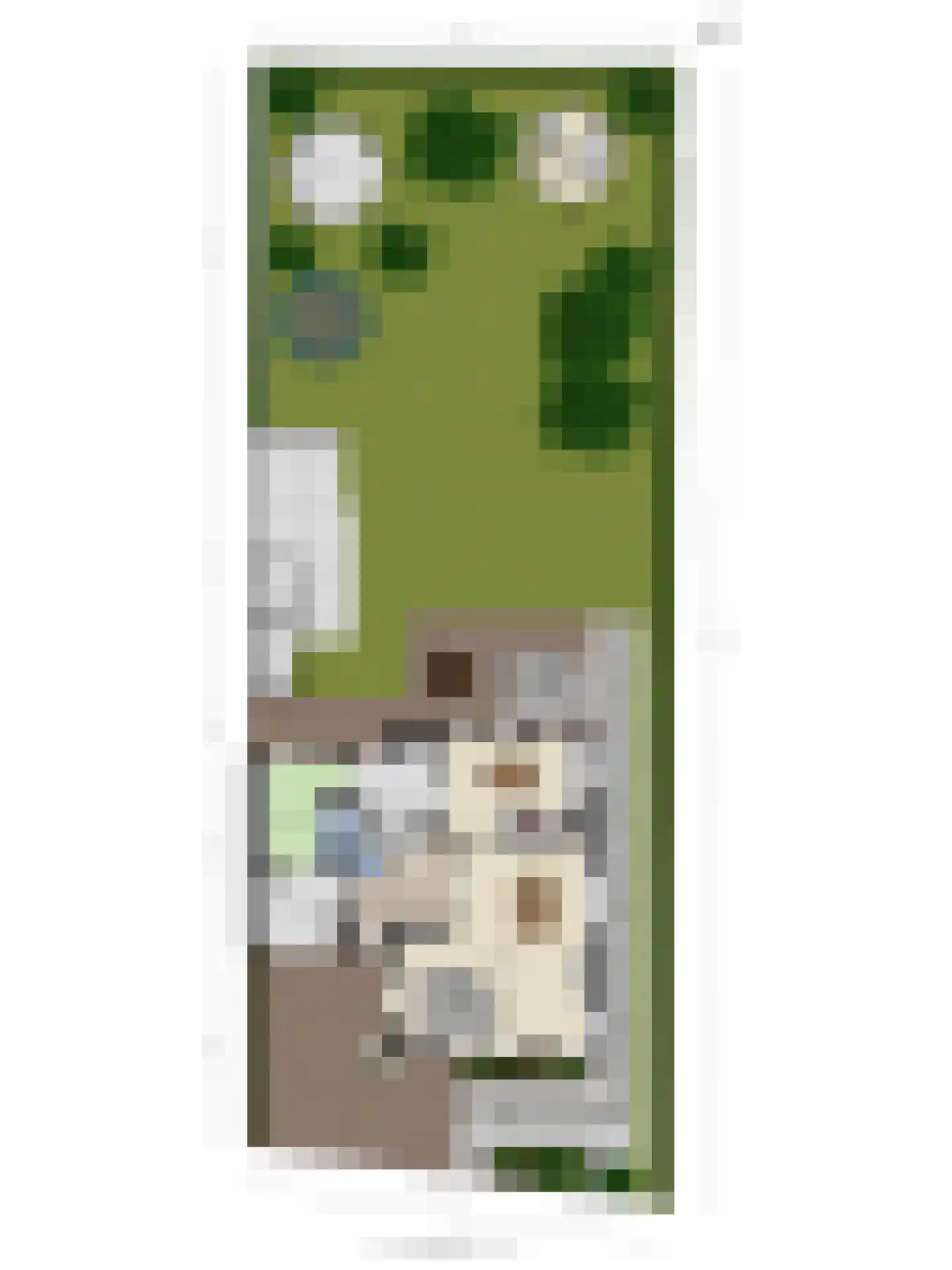 Aronskelk 18 Cuijk thumbnail 42