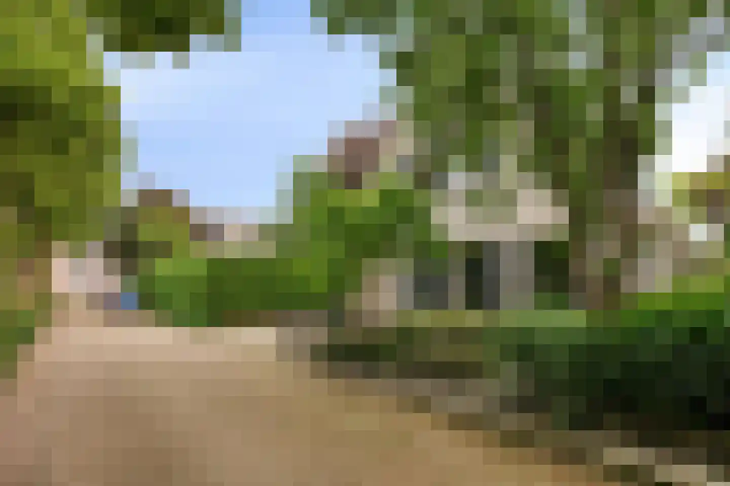 Aronskelk 18 Cuijk thumbnail 5