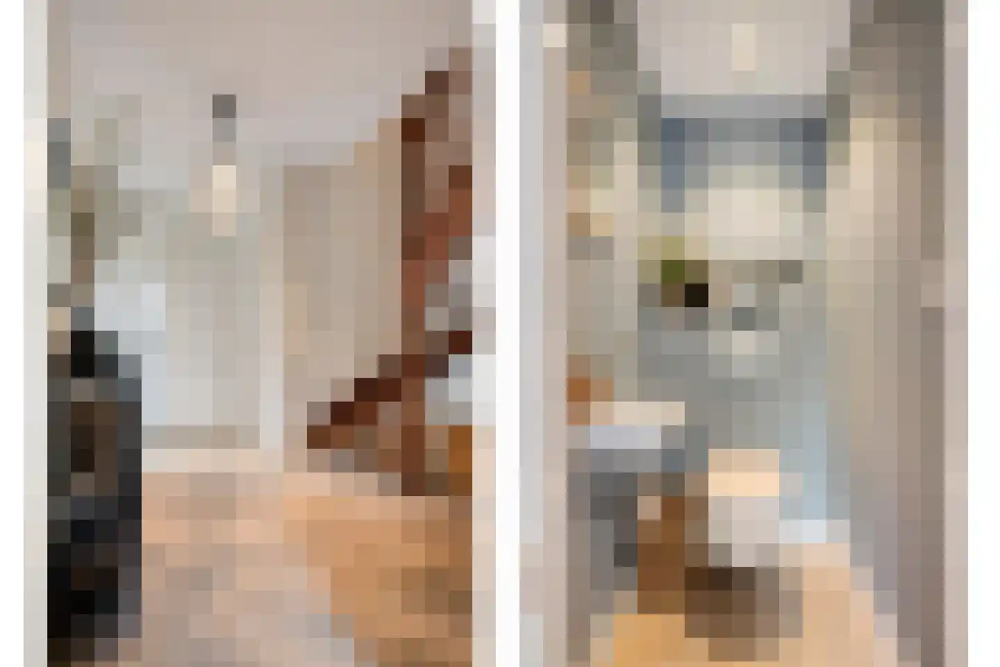 Aronskelk 18 Cuijk thumbnail 7