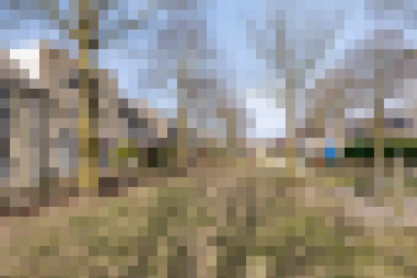 Aronskelk 19 Cuijk thumbnail 10