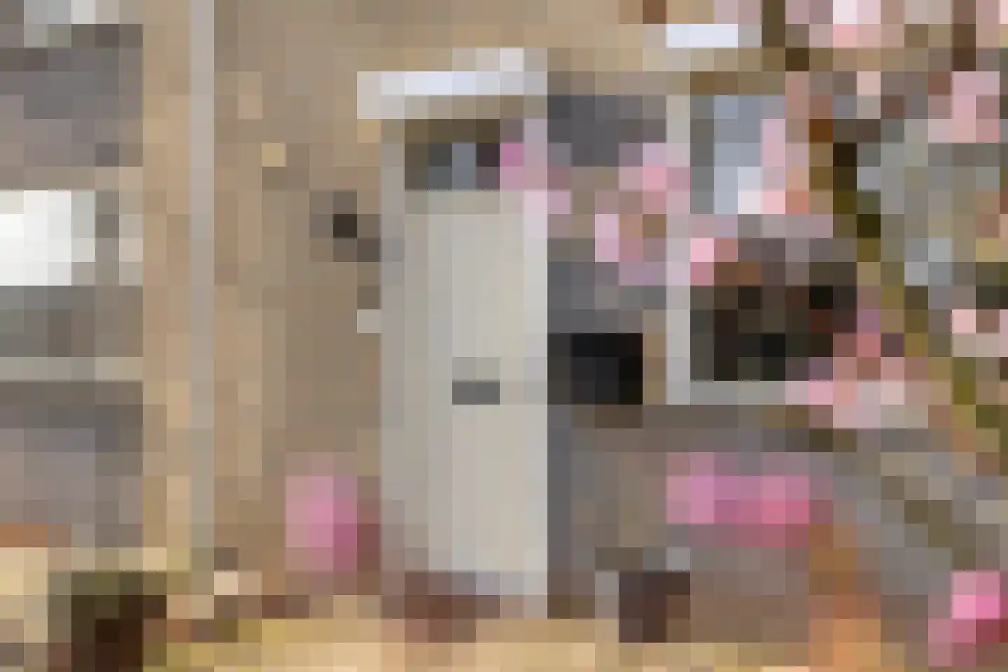 Aronskelk 19 Cuijk thumbnail 12