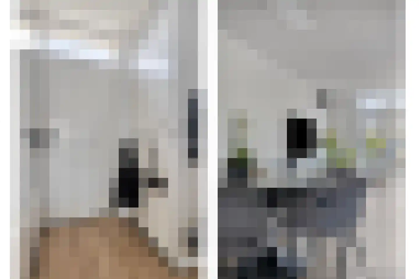 Aronskelk 19 Cuijk thumbnail 14