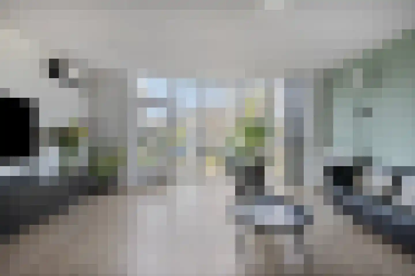 Aronskelk 19 Cuijk thumbnail 17