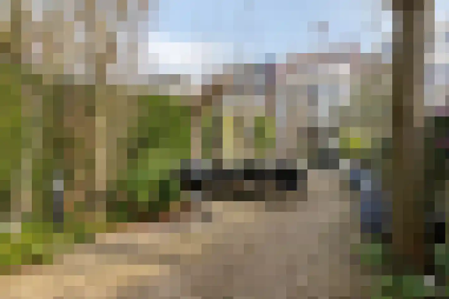 Aronskelk 19 Cuijk thumbnail 39