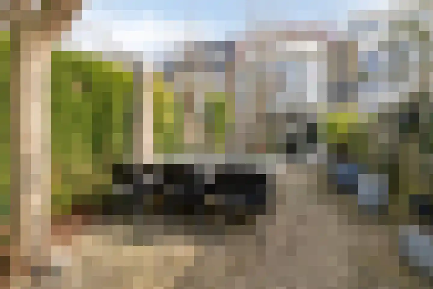 Aronskelk 19 Cuijk thumbnail 40