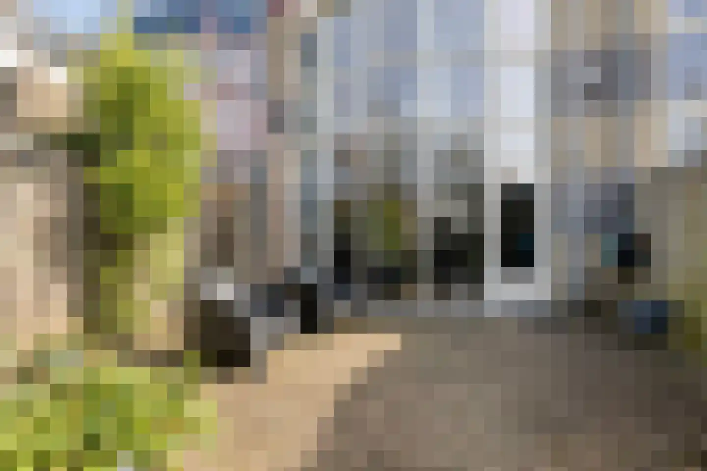 Aronskelk 19 Cuijk thumbnail 41