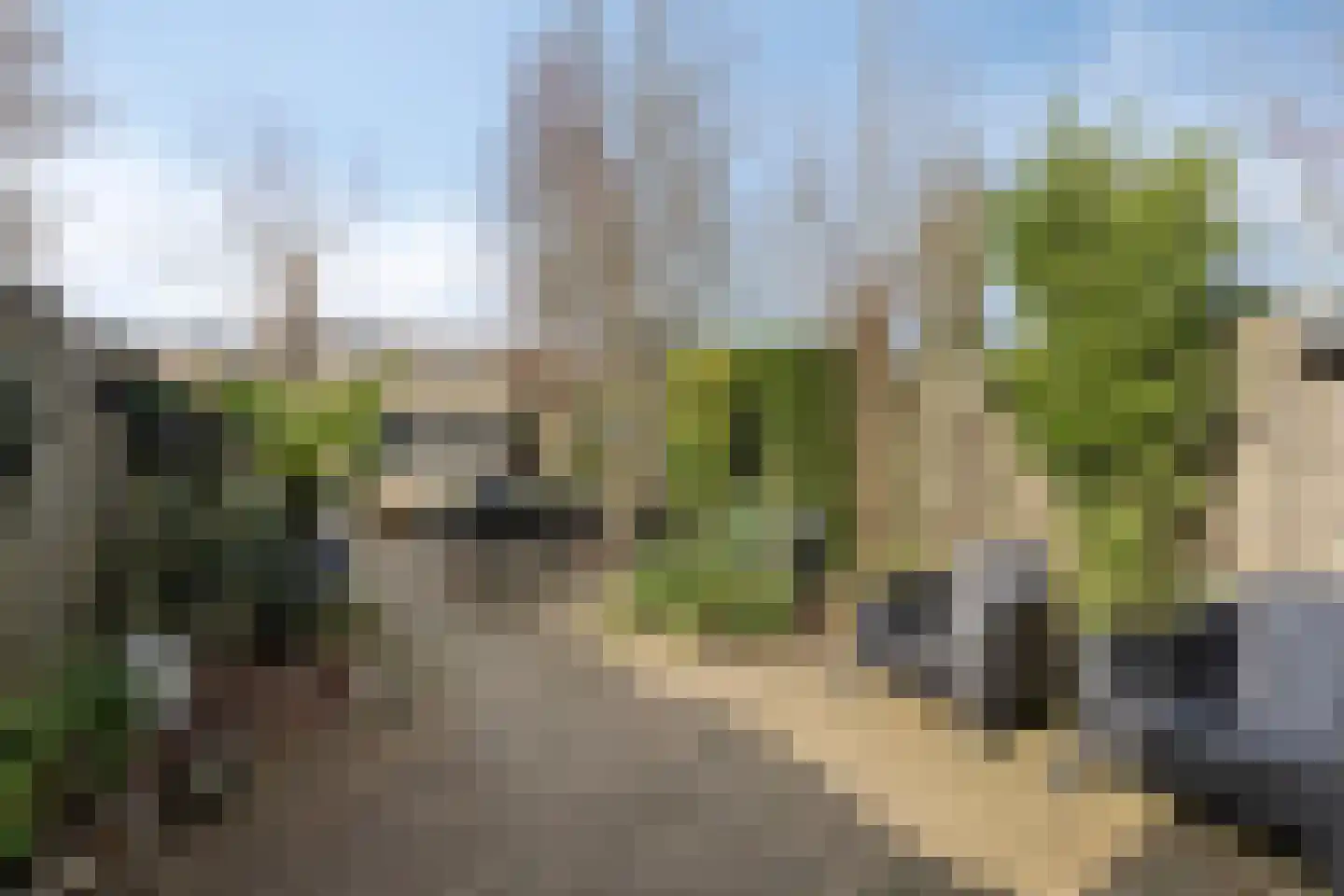 Aronskelk 19 Cuijk thumbnail 42