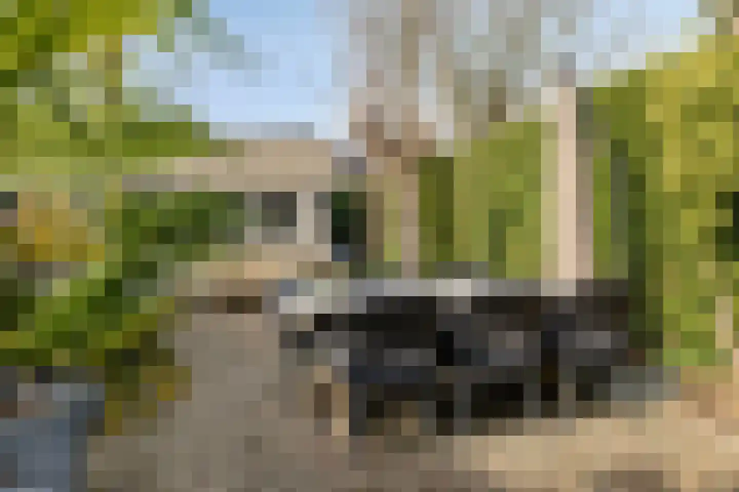 Aronskelk 19 Cuijk thumbnail 43