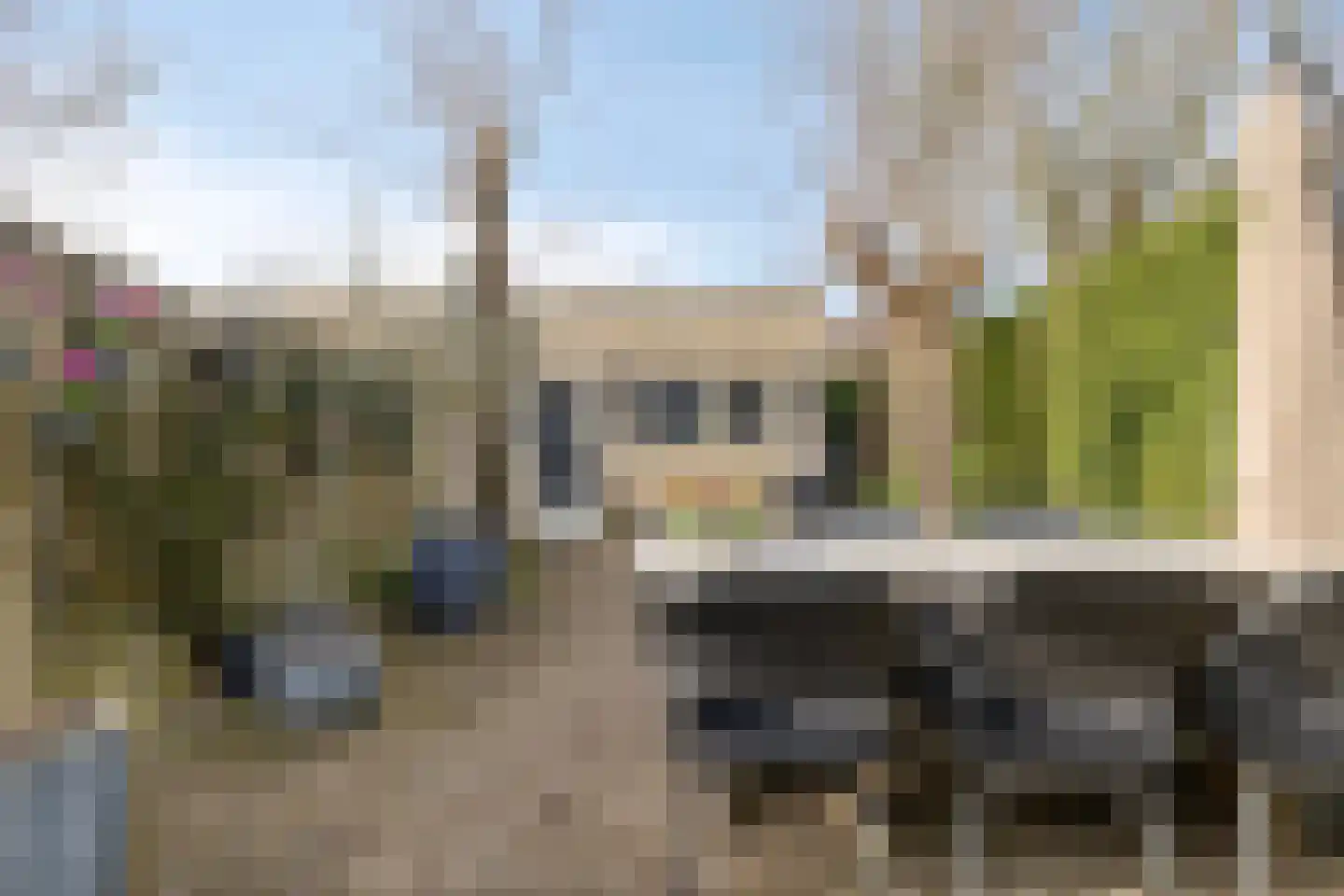 Aronskelk 19 Cuijk thumbnail 44