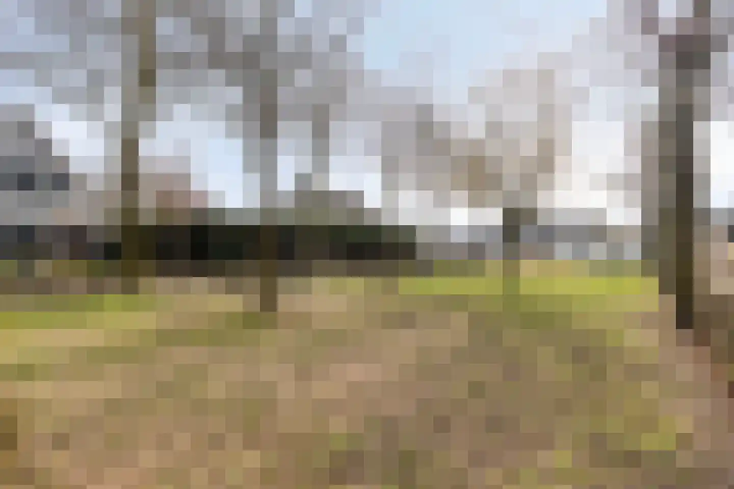 Aronskelk 19 Cuijk thumbnail 48