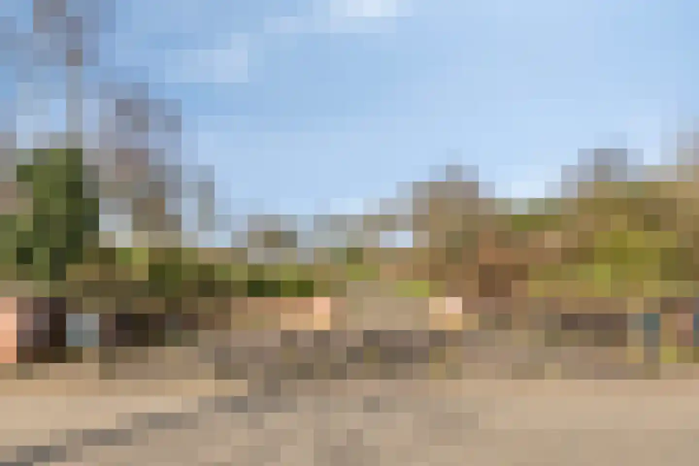 Aronskelk 19 Cuijk thumbnail 49