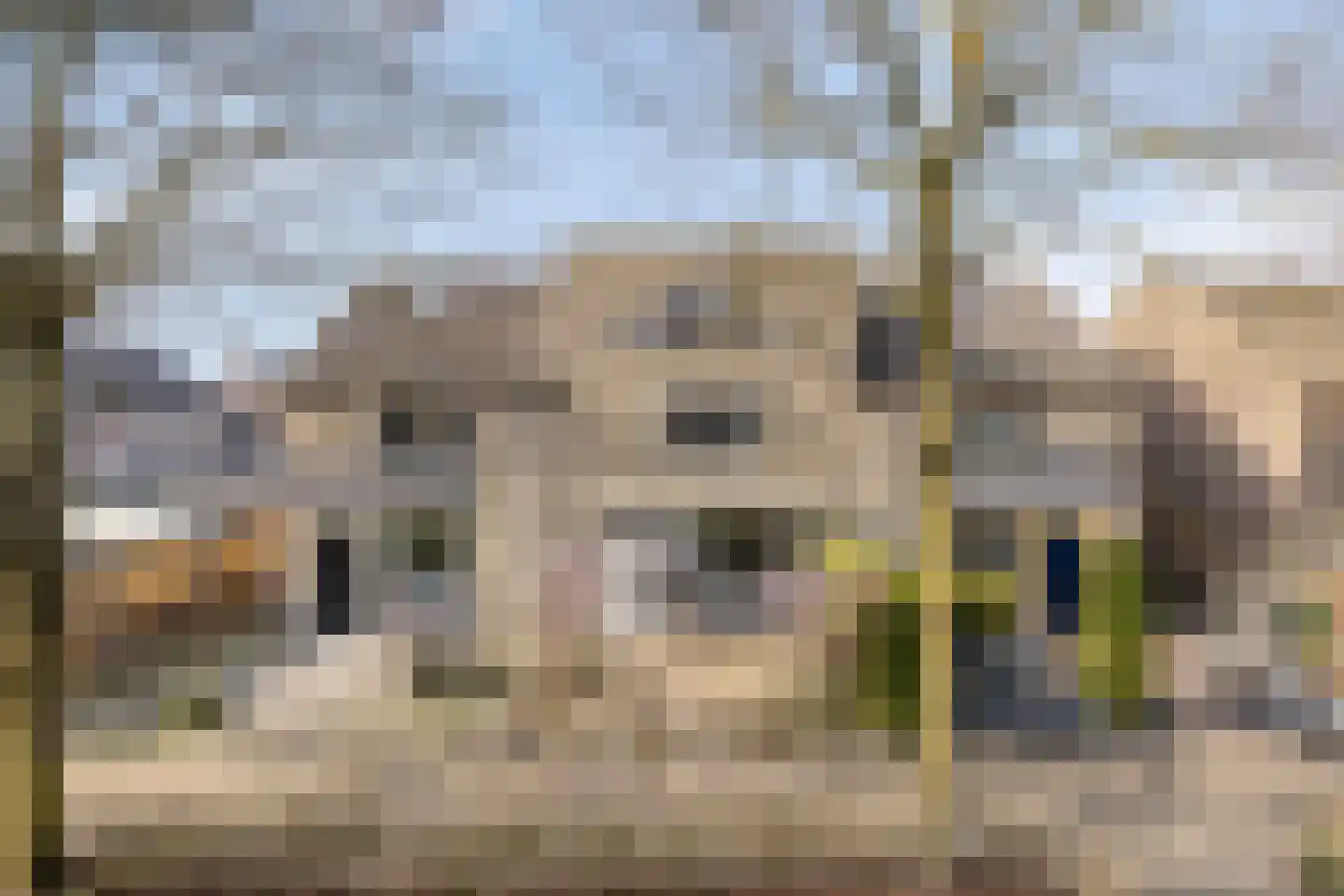 Aronskelk 19 Cuijk thumbnail 6