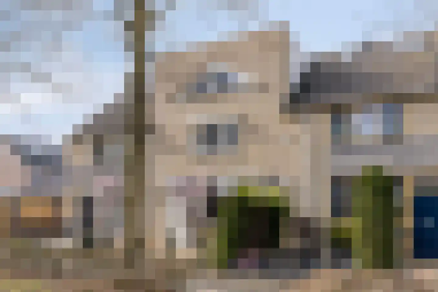 Aronskelk 19 Cuijk thumbnail 7