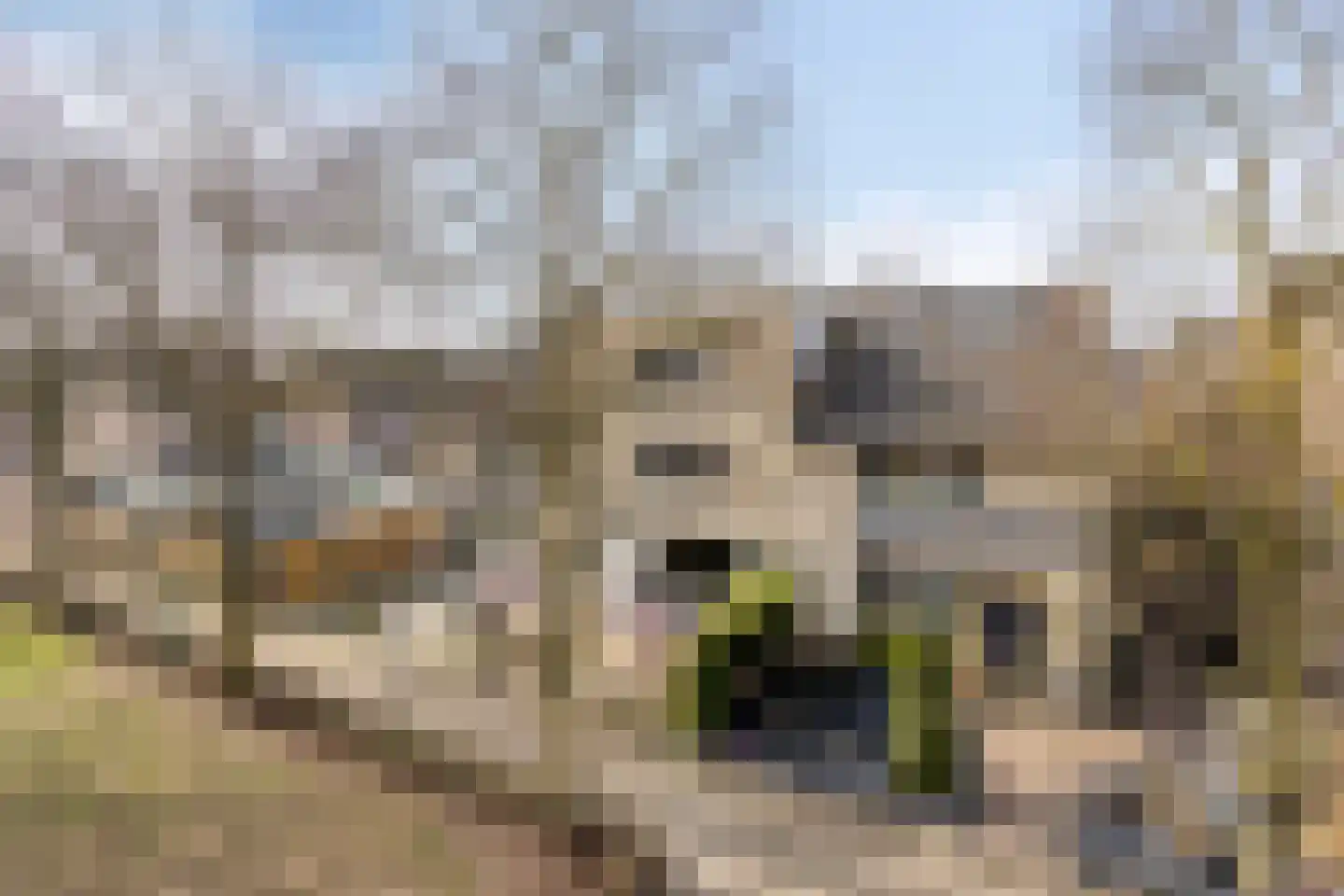 Aronskelk 19 Cuijk thumbnail 8
