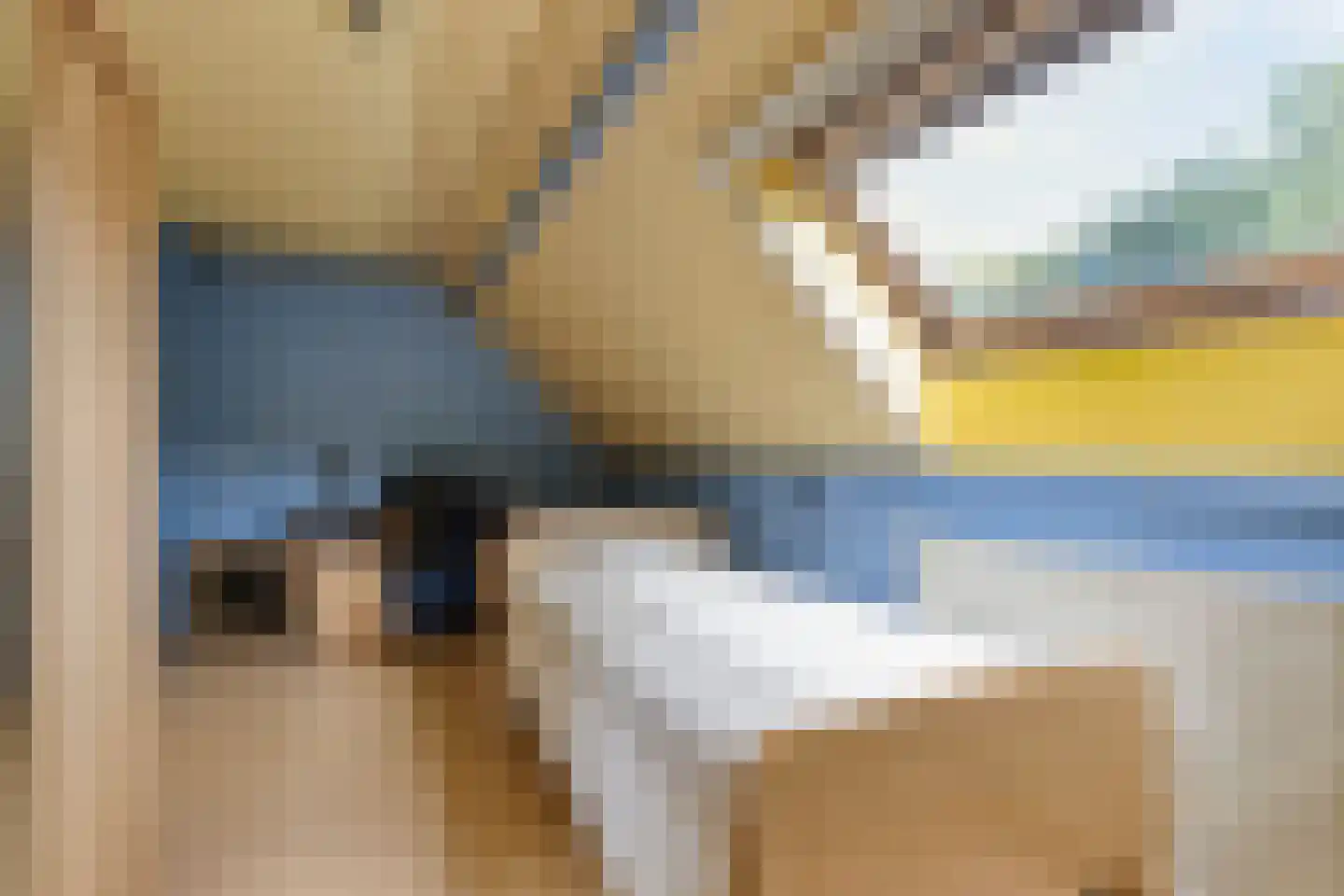 Aronskelk 25 Venray thumbnail 18