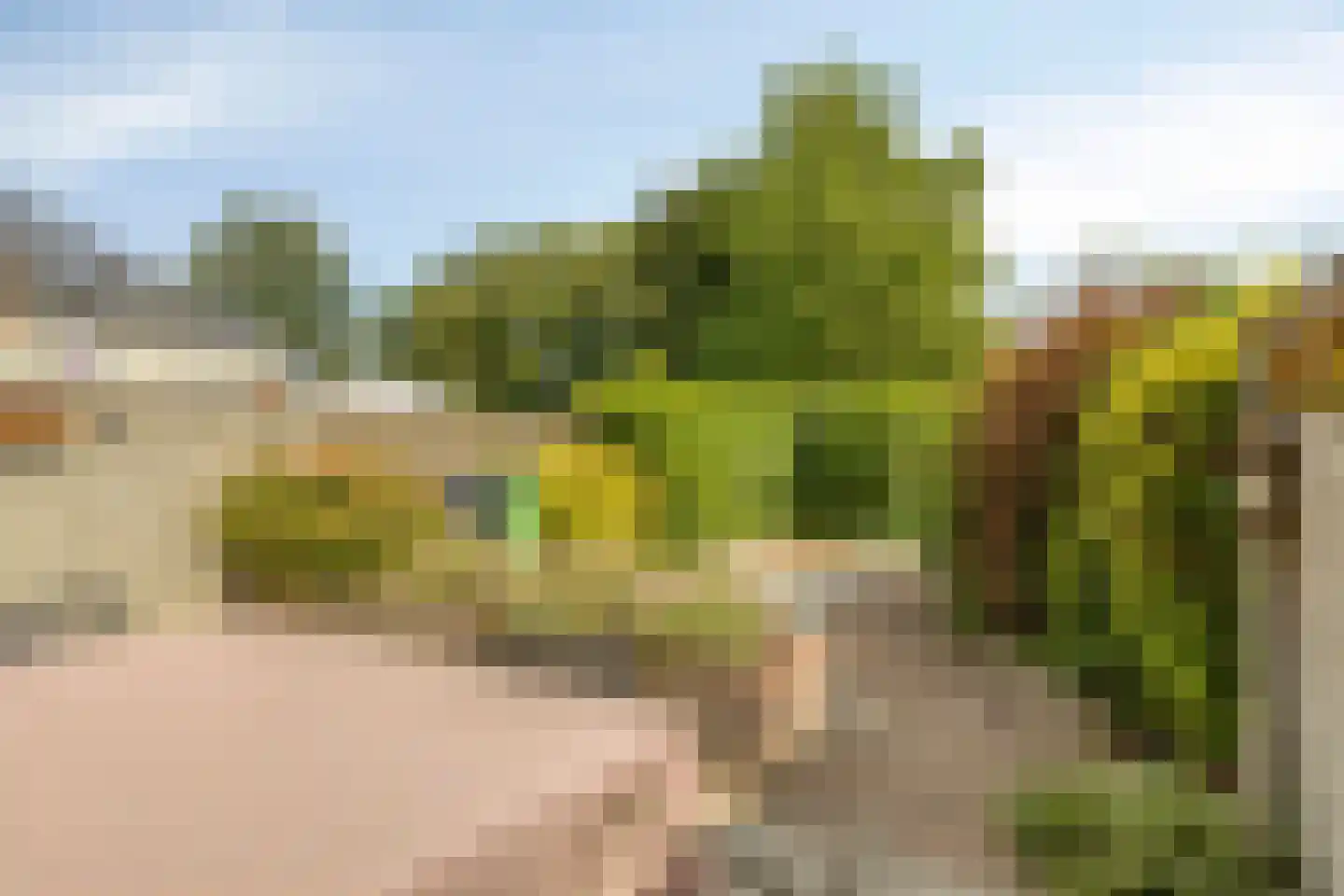 Aronskelk 25 Venray thumbnail 26